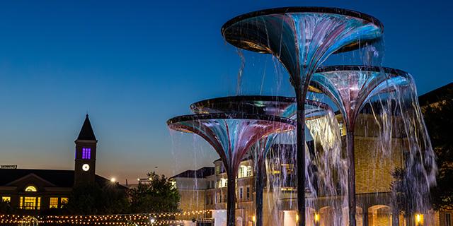 TCU Frog Fountain at night